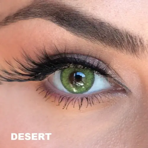 Labella Yeşil Renk Desert (3 Aylık)