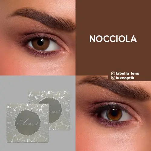 Anastasia Addict Ela Renk Nocciola (6 Aylık)