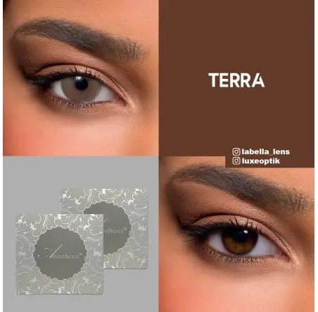 Anastasia Addict Gri Renk Terra (6 Aylık)