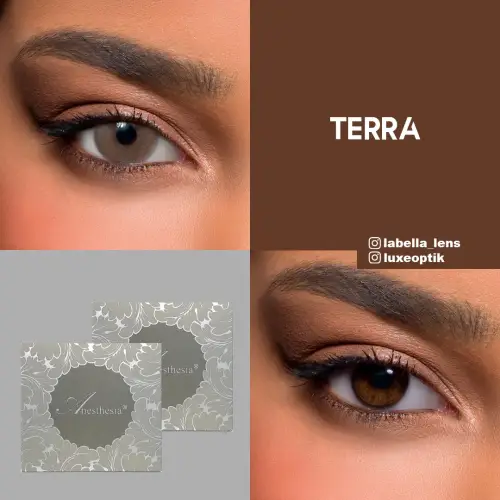 Anastasia Addict Gri Renk Terra (6 Aylık)