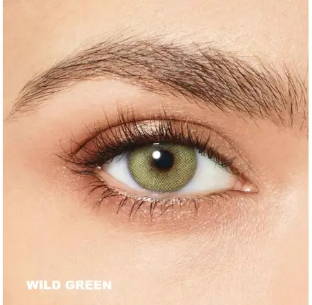 Desio Attitude Quarterly 2 Tone Yeşil Renk Wild Green (3 Aylık)