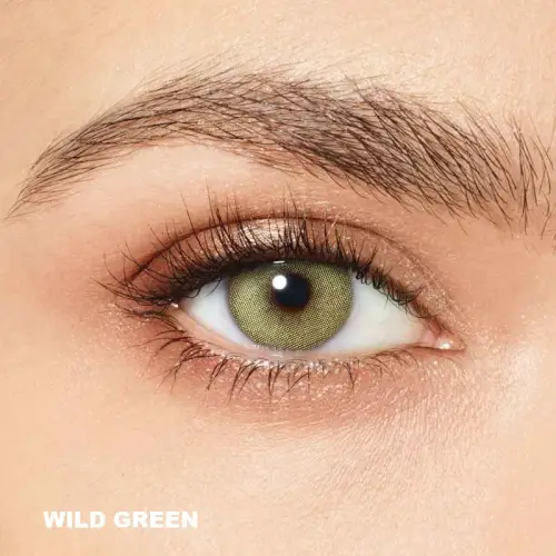 Desio Attitude Quarterly 2 Tone Yeşil Renk Wild Green (3 Aylık)