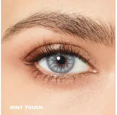 Desio Sensual Beauty Gri Renk Mint Touch (3 Aylık)