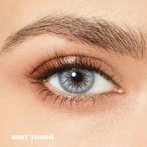 Desio Sensual Beauty Gri Renk Mint Touch (3 Aylık)