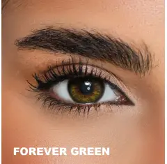 Desio Timeless 3 Tone Yeşil Renk Forever Green (3 Aylık)