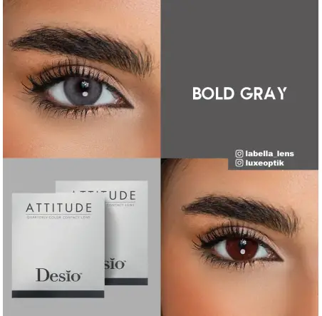 Desio Attitude Quarterly 2 Tone Gri Renk Bold Grey (3 Aylık)