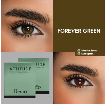 Desio Timeless 3 Tone Yeşil Renk Forever Green (3 Aylık)
