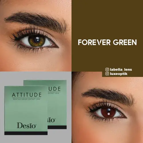 Desio Timeless 3 Tone Yeşil Renk Forever Green (3 Aylık)