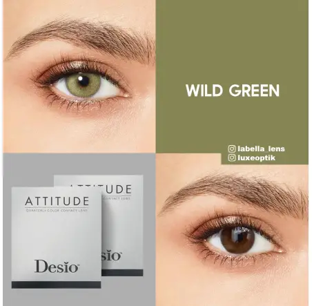 Desio Attitude Quarterly 2 Tone Yeşil Renk Wild Green (3 Aylık)