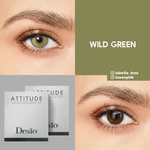 Desio Attitude Quarterly 2 Tone Yeşil Renk Wild Green (3 Aylık)