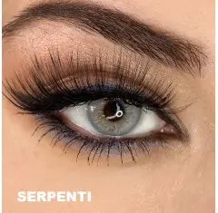 Hypnose Gri Renk Serpenti (3 Aylık)