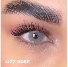 Lezza Lizz Mavi-Pembe Renk Rose (6 Aylık)