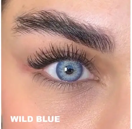 Lezza Wild Blue Mavi Renk (6 Aylık)
