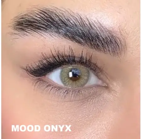 Lezza Kontakt Lens (1 Yıllık)