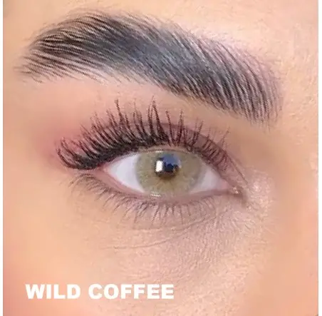 Lezza Kontakt Lens (1 Yıllık)